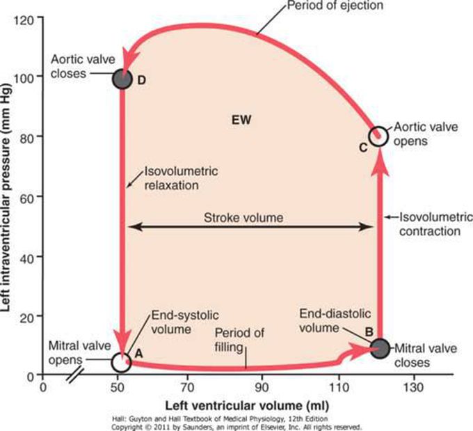 Pressure volume loop