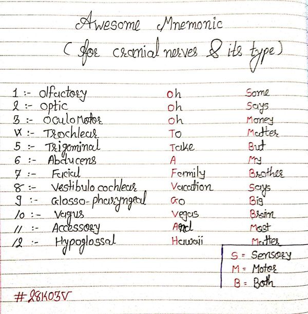 Awesome Mnemonic For Cranial Nerves And Its Type