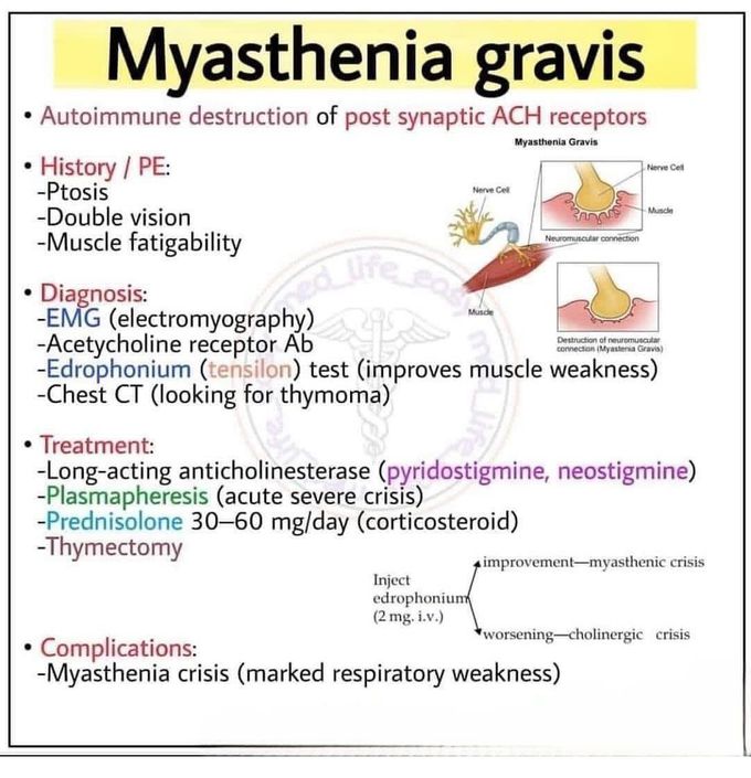 Myasthenia Gravis