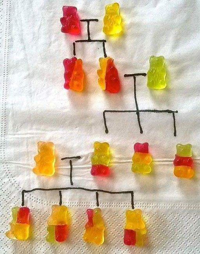 Genetics