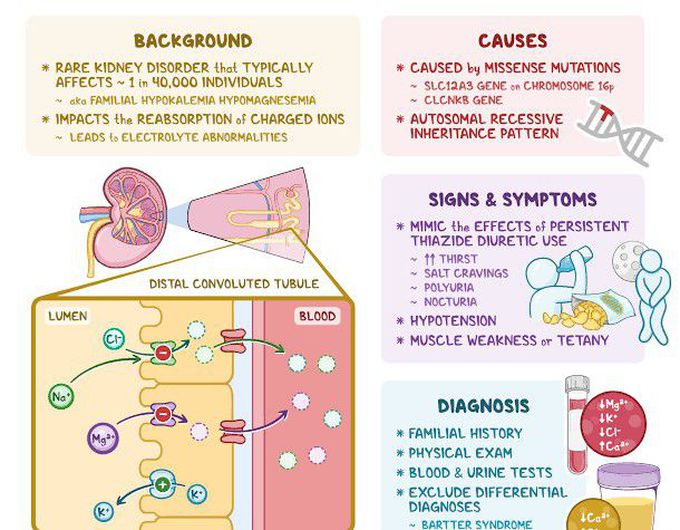 Gitelman syndrome - MEDizzy