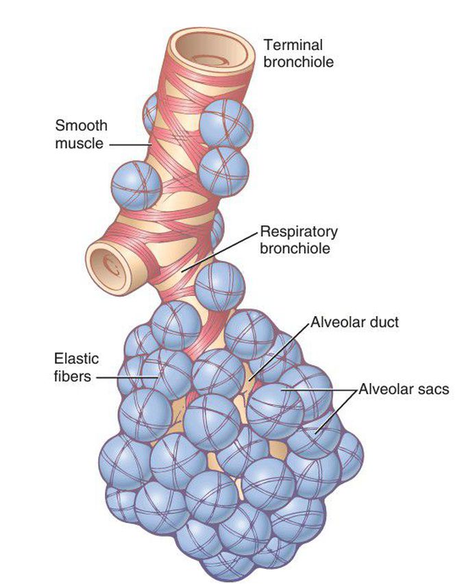 Respiratory unit