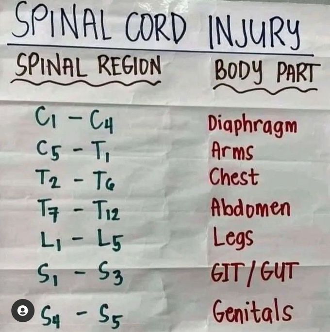 Spinal cord injury