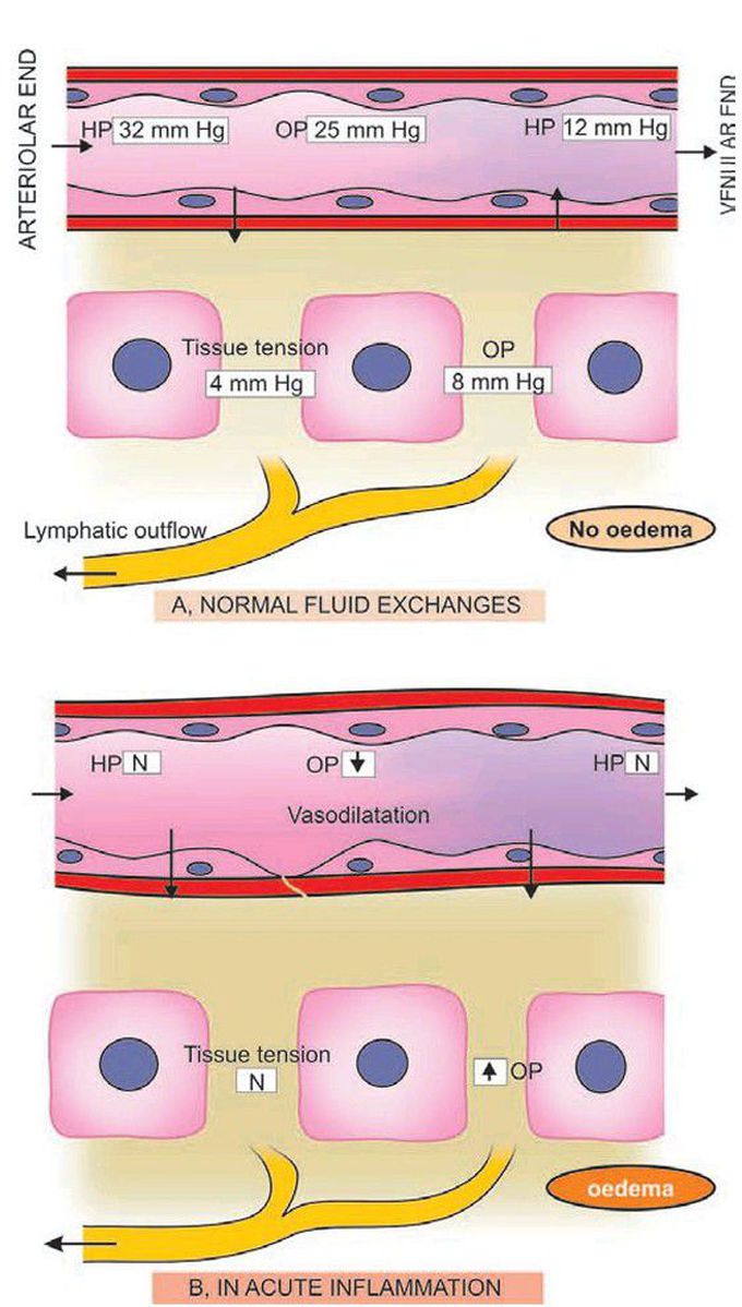 Fluid exchange