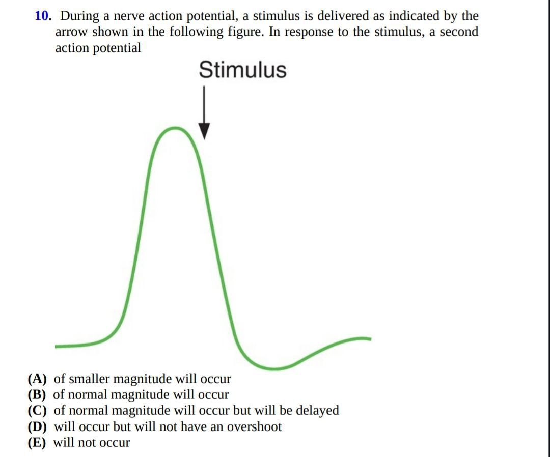 Action potential - MEDizzy