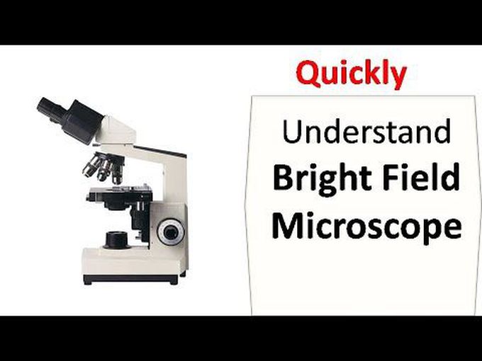 Overview of bright field microscopy