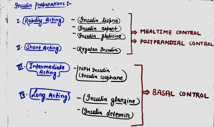 INSULIN PREPARATIONS