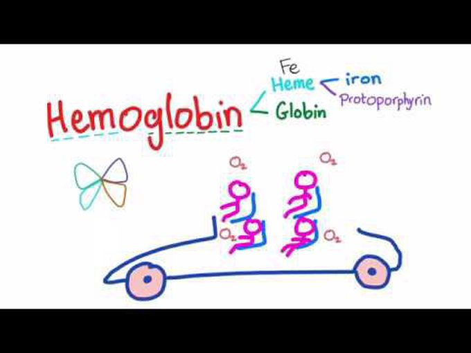 Hemoglobin: Formation and structure
