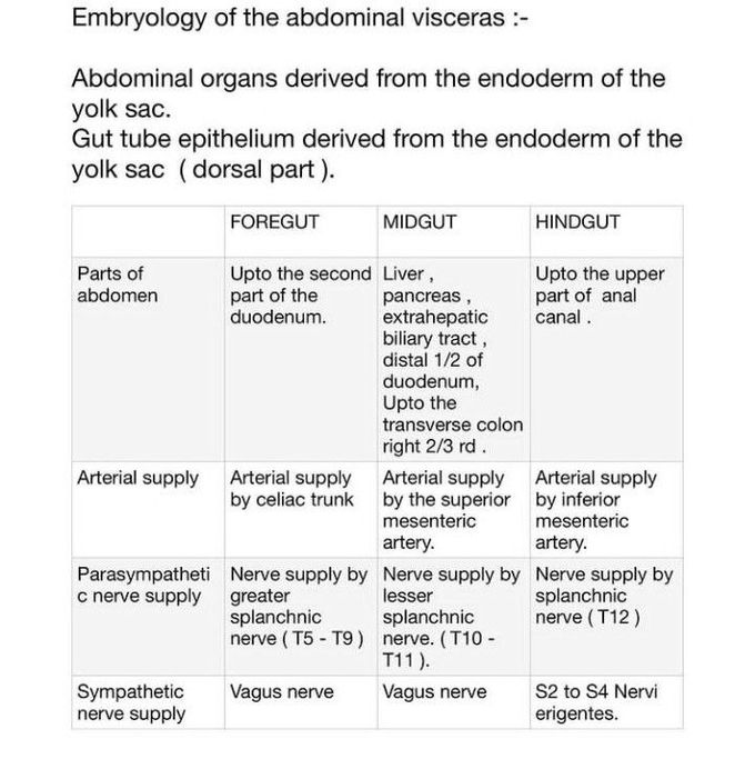 Abdominal Vicera- Embroyology