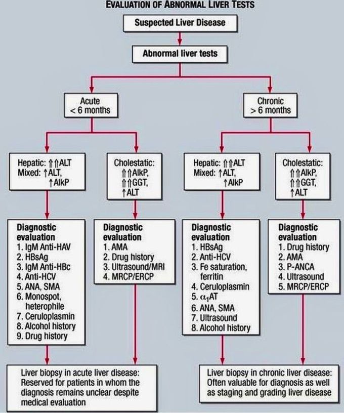 Evaluation of LFTS