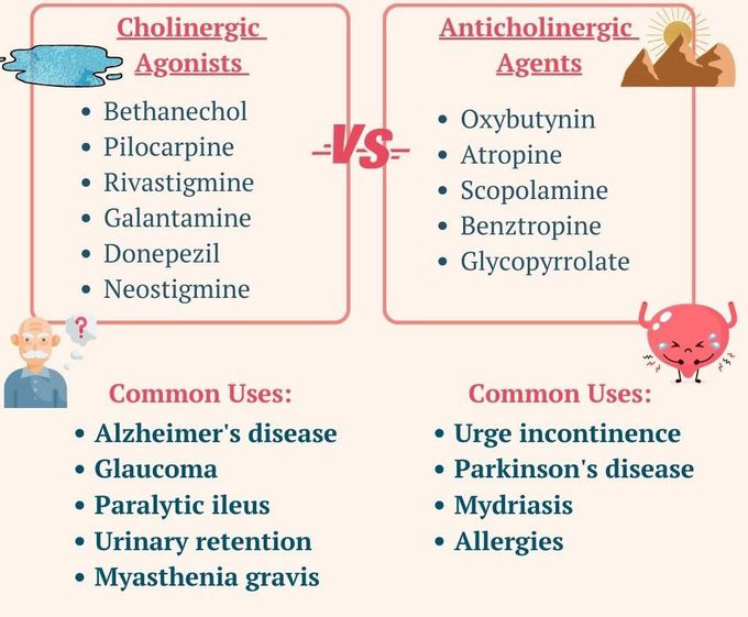 Cholinergic Vs Anticholinergic Drugs