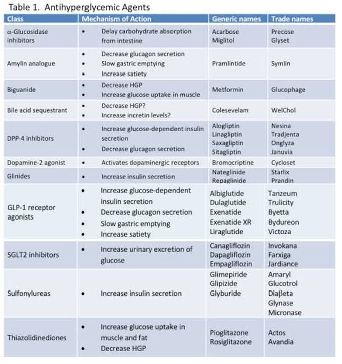 Drug therapy for diabetes mellitus