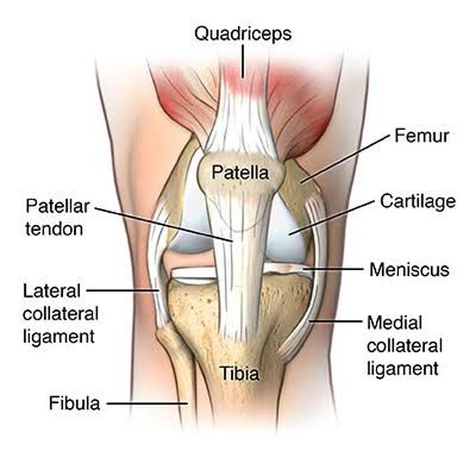 Jumper's knee