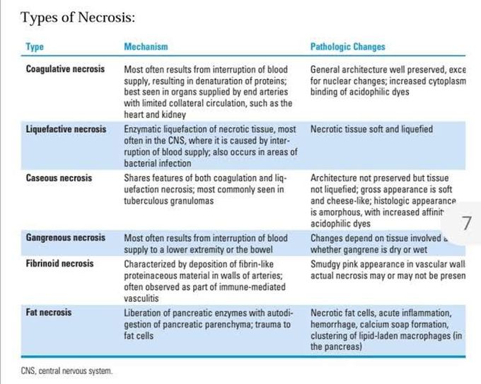 Types of Necrosis