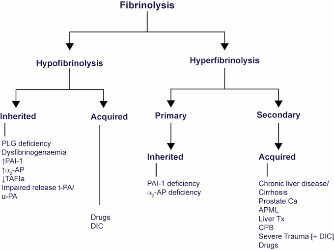 Fibrinolysis Classification
