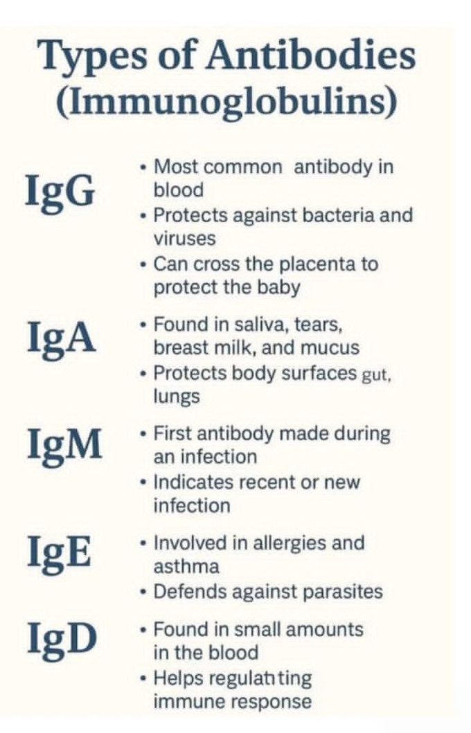 Types of Antibodies