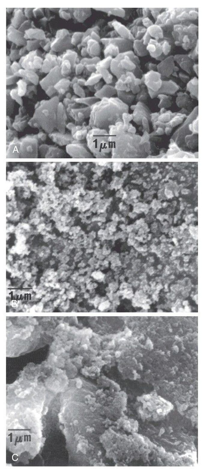 Types of filler