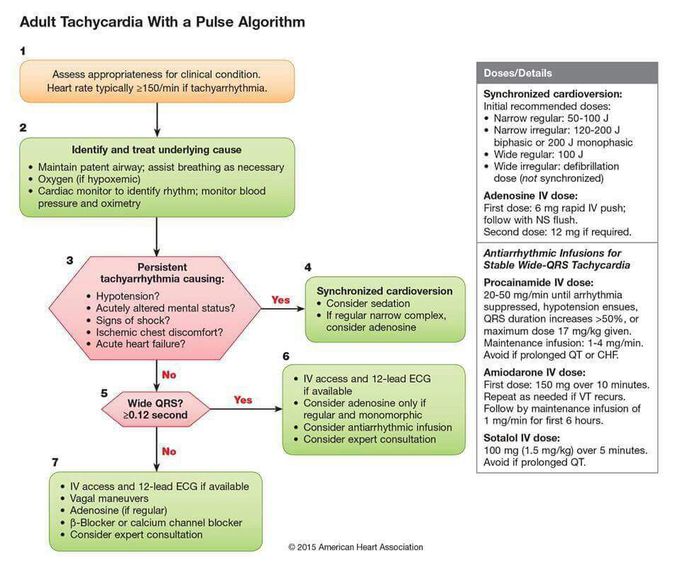 Tachycardia with a pulse