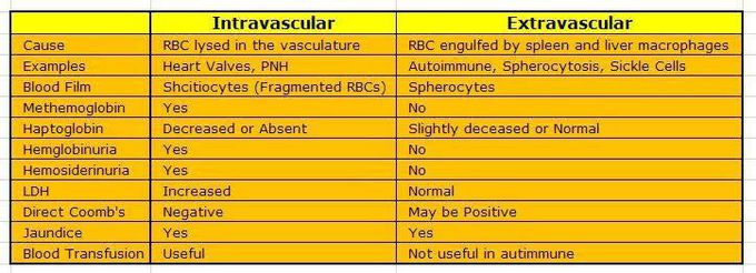 Intravascular and Extravascular - MEDizzy