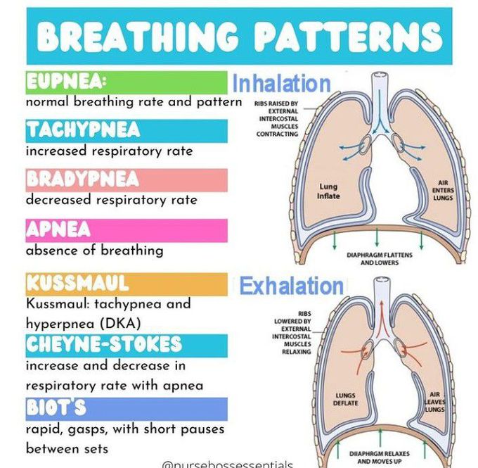 Respiratory Rate and Breathing patterns