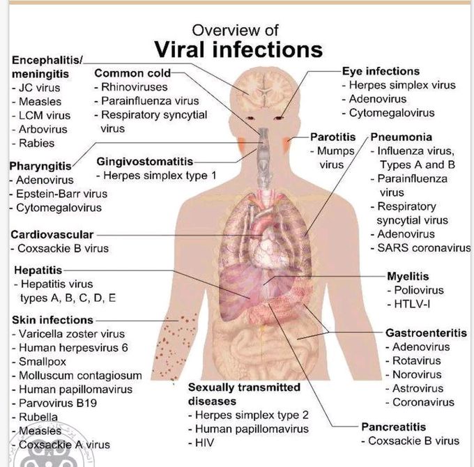 Overview of viral infection.