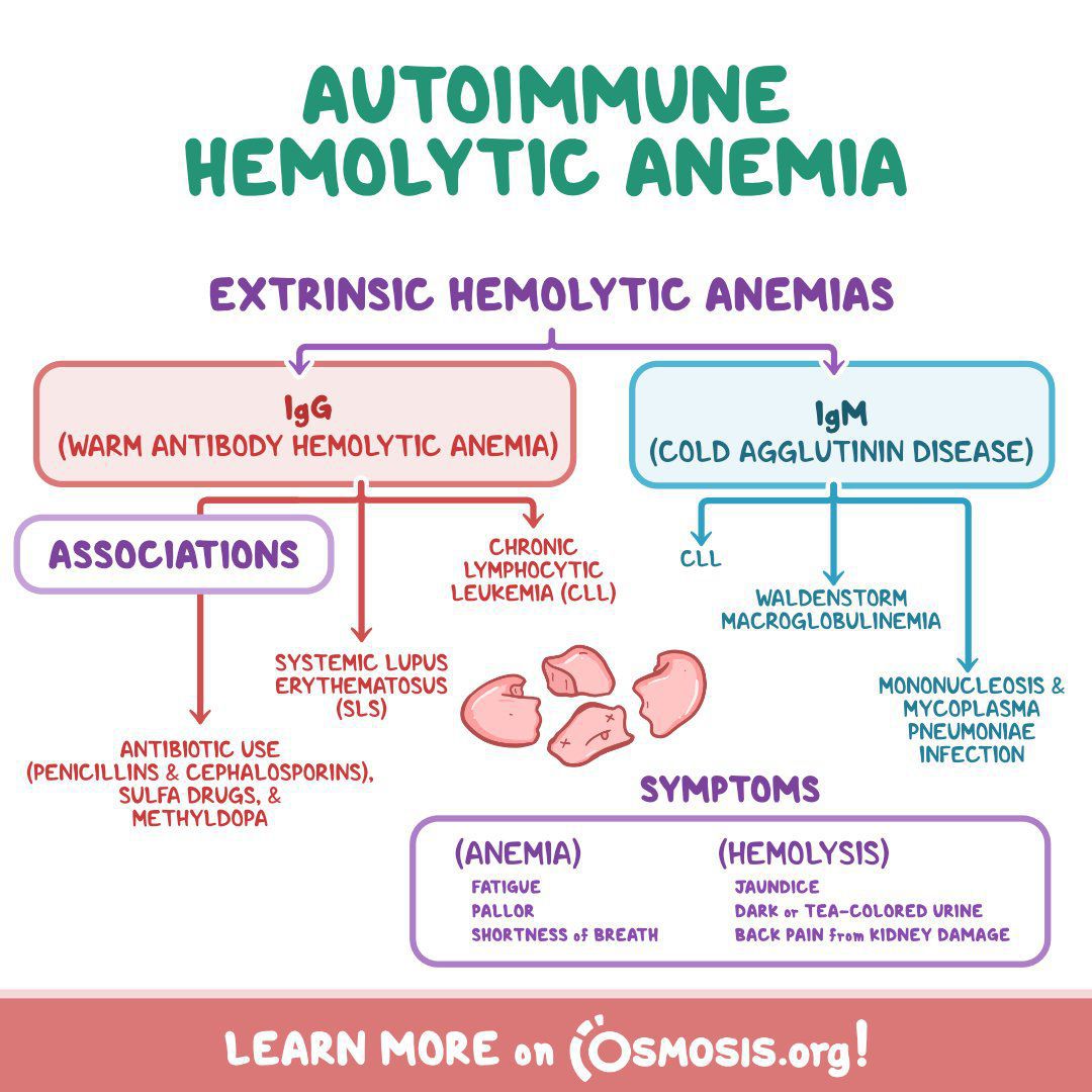 What Are Hemolytic Anemia Symptoms Medizzy 6897