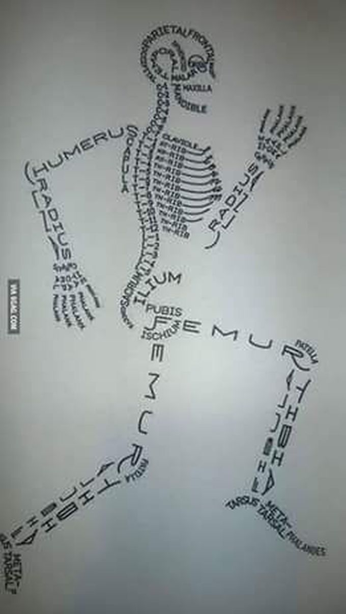 Memories to all bone nice chart