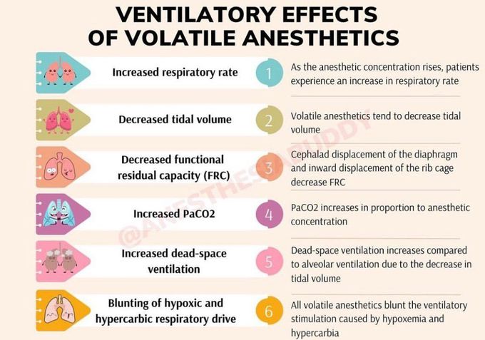 Ventilatory Effects of Volatile Anesthetics