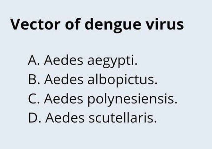 Vector of Dengue Virus