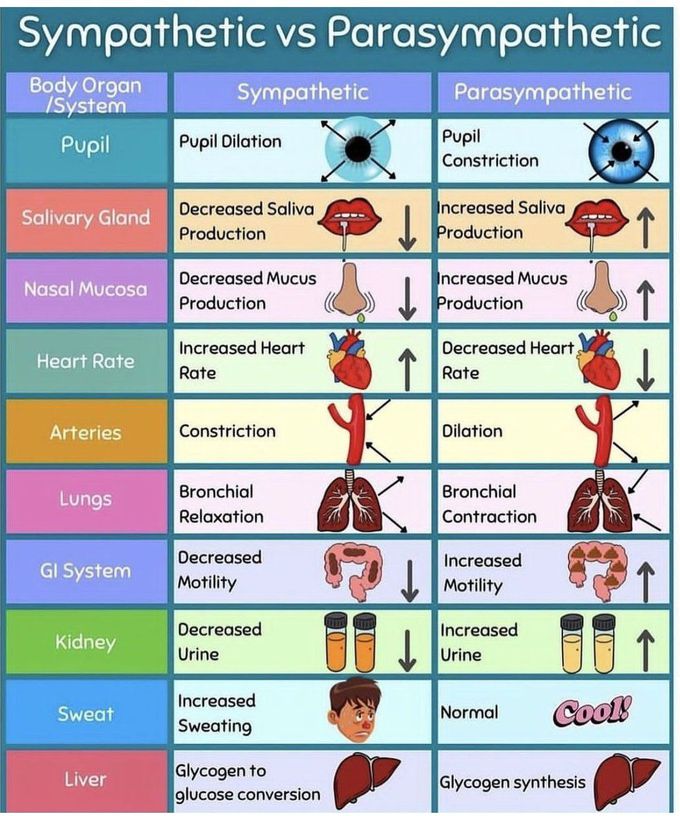 Sympathetic Vs Parasympathetic