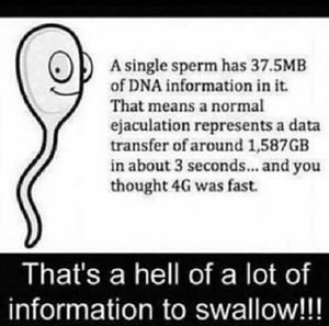 DO YOU KNOW..? - MEDizzy