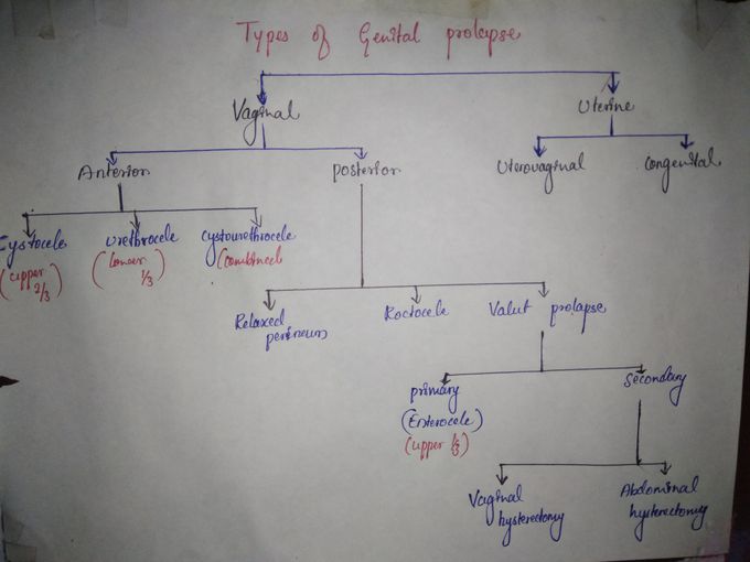 Gynecology