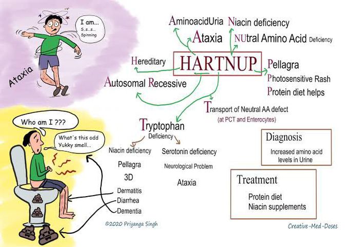 Hartnup disease treatment