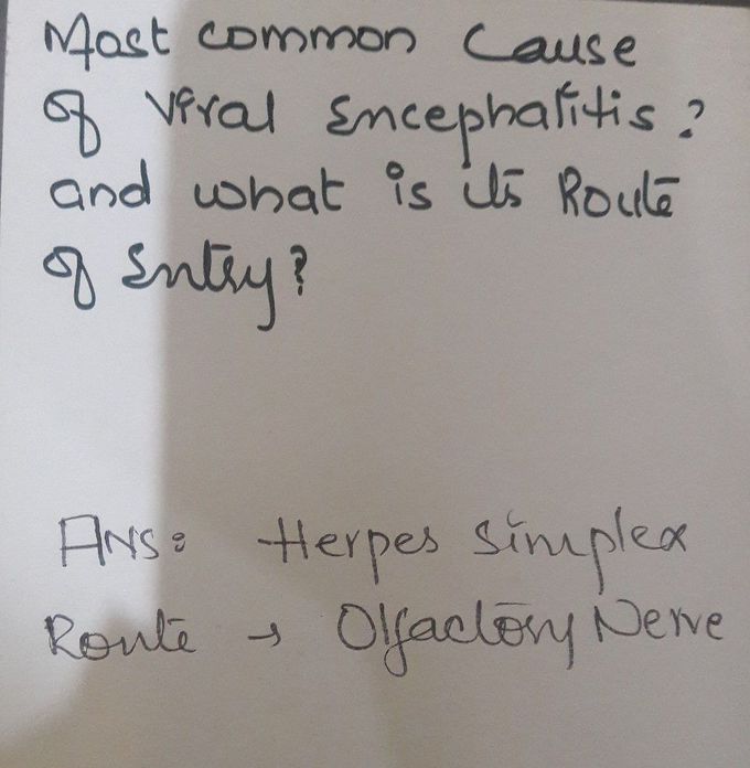 Encephalitis