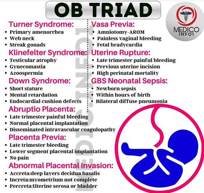 OB TRIADS-III