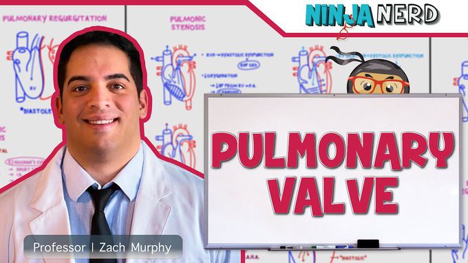 Pulmonary Valve Stenosis & Regurgitation