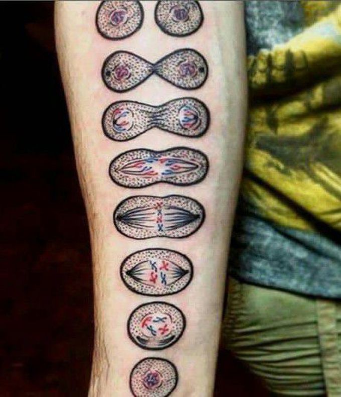 Cell division tattoo