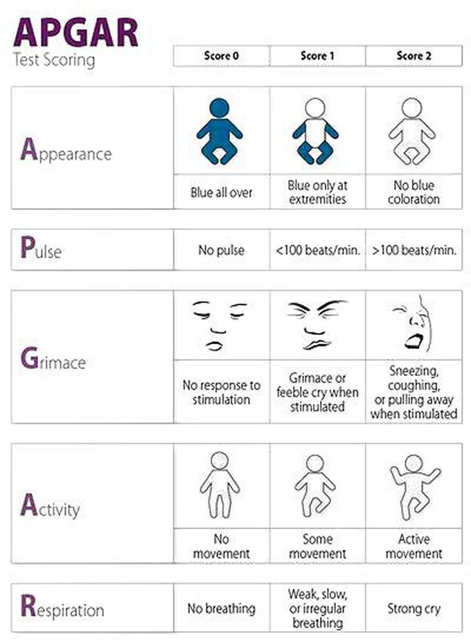 apgar dcore