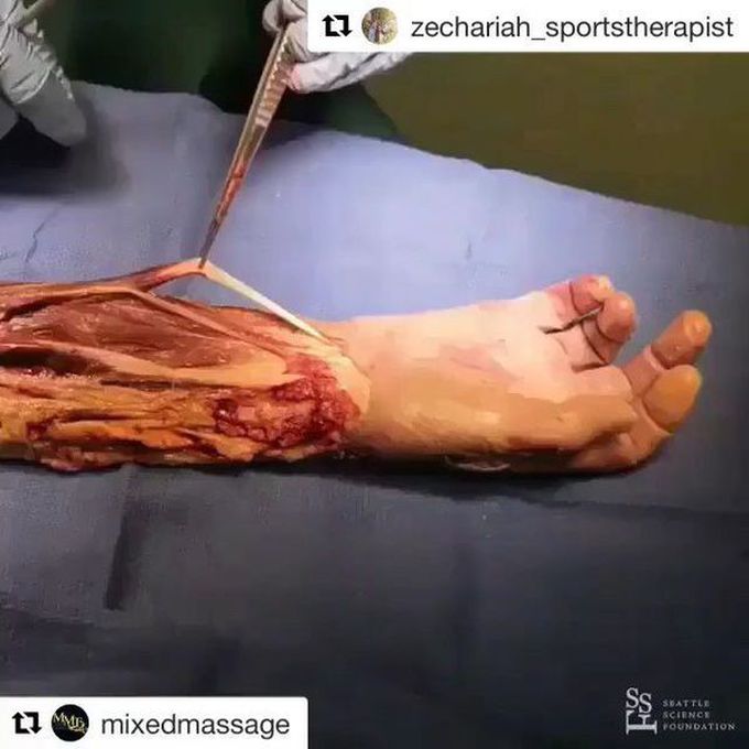 That’s amazing 😍