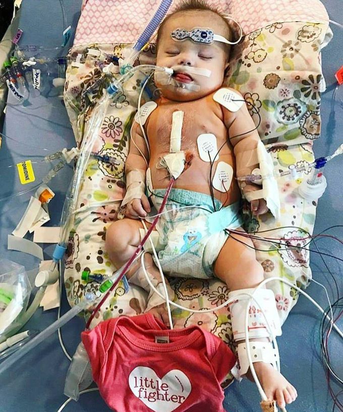 He is definitely little fighter..