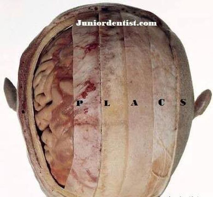 Layers of SCALP