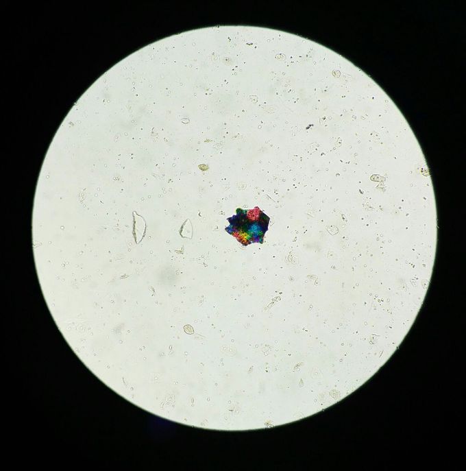 What do you think this is?