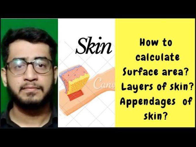 How we can CALCULATE surface area, appendages , layers,characteristics  of skin [ hindi/ urdu ]