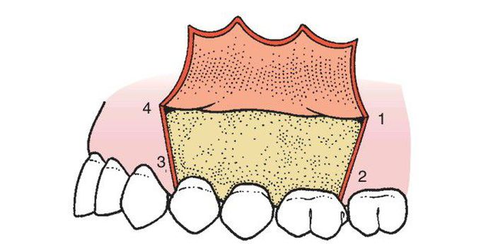 Envelope flap