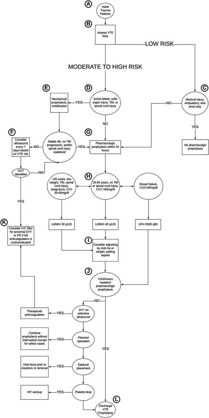 Time is Money: Timely Prophylaxis of VTE in Trauma Patients