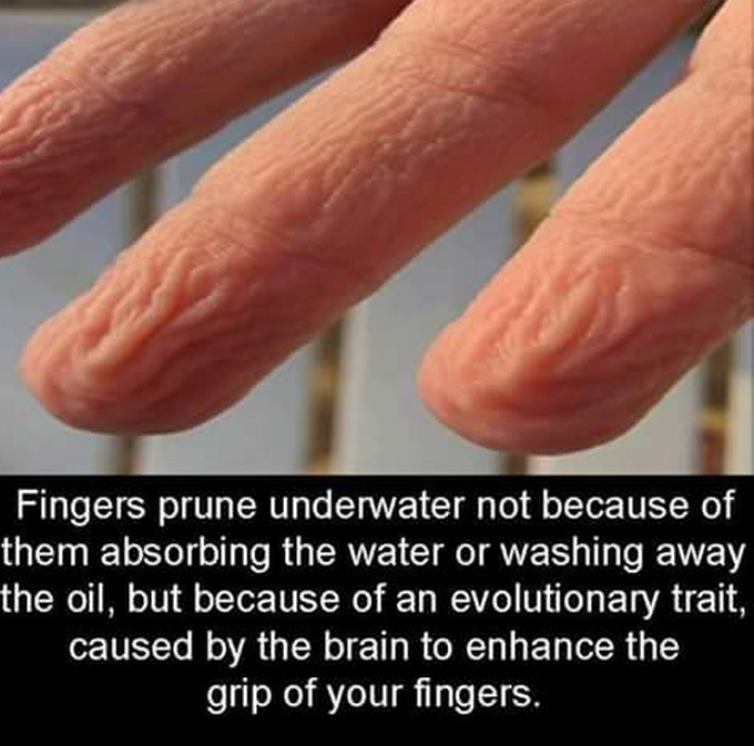 Really!!!!