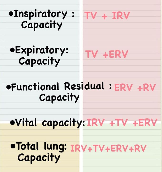Lung Volume and Capacities II