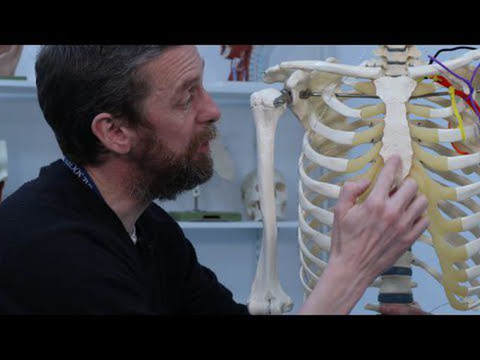 Bone classification