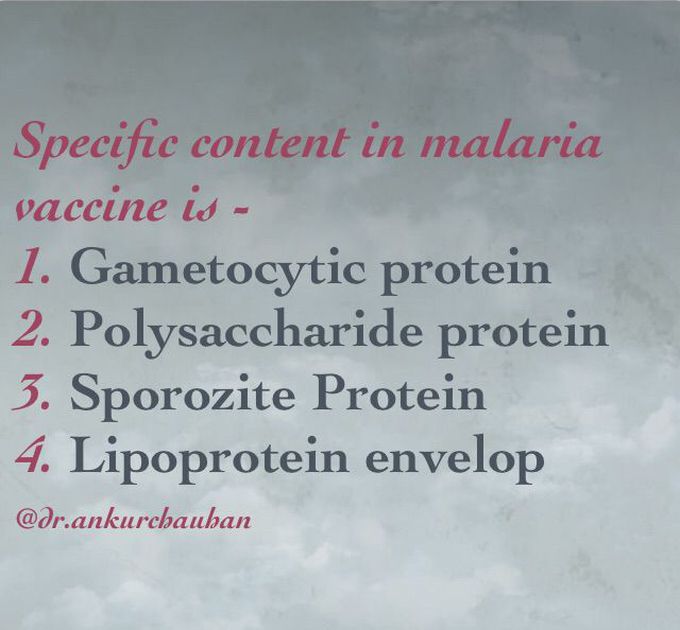 Question 02