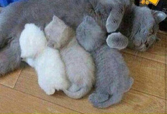 Being mom